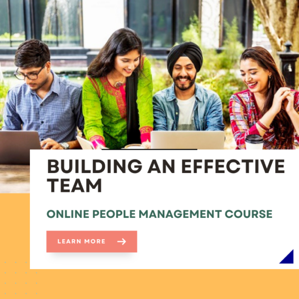 Building an effective team