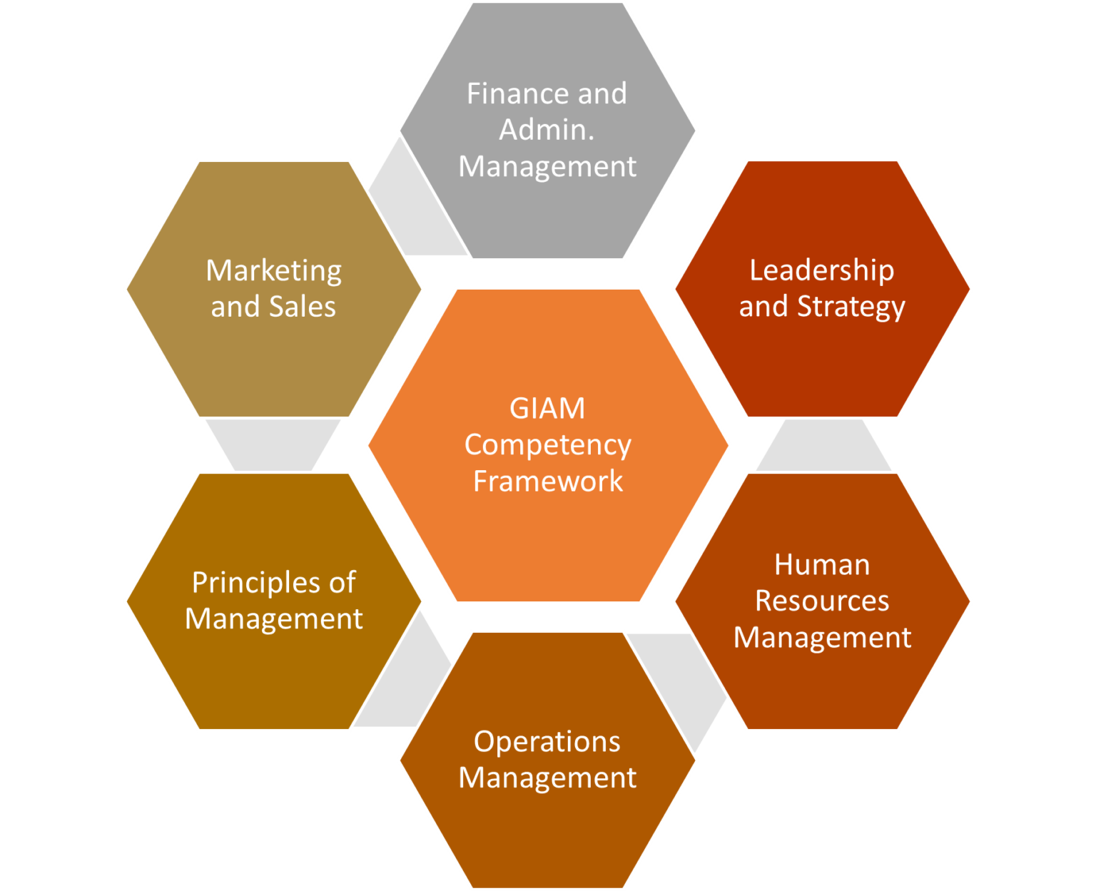 GIAM Competency framework