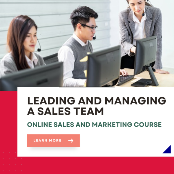 Leading a Sales Team