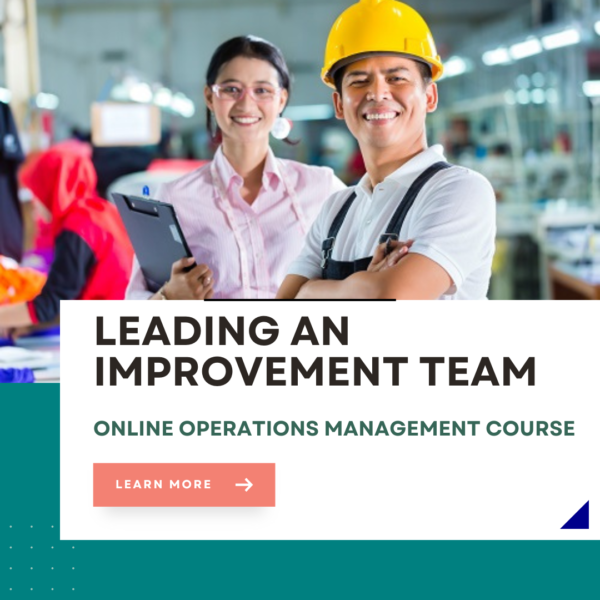 Leading an improvement team