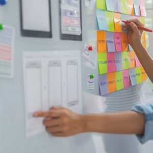 Agile management