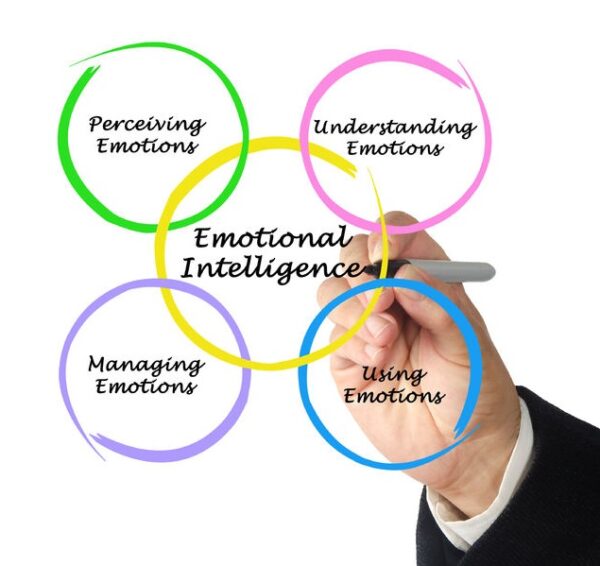 emotional intelligence