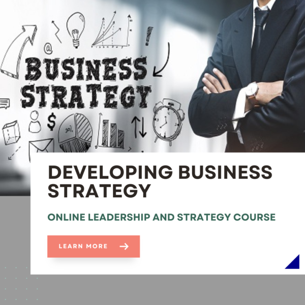 Developing Business Strategy