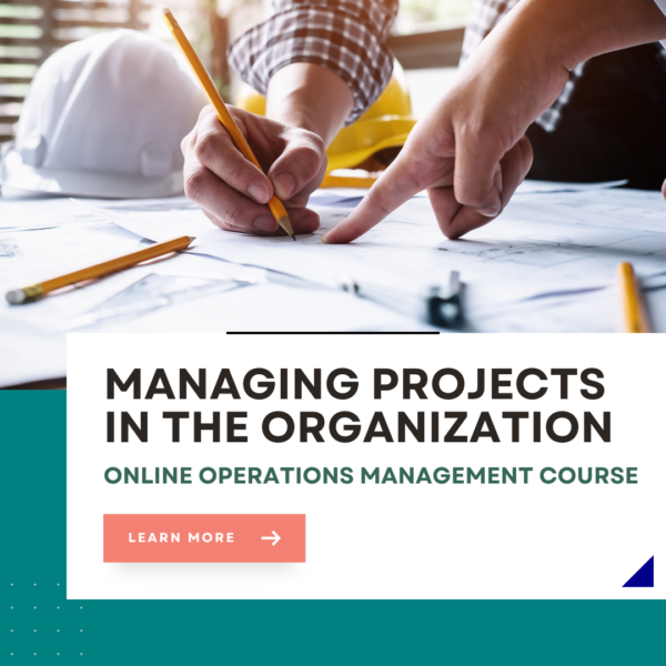 Managing projects in the organization