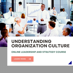 Understanding Organization Culture