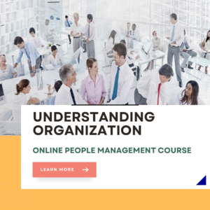 Understanding Organizations