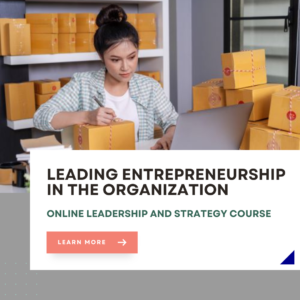 Leading Entrepreneurship